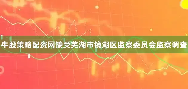 牛股策略配资网接受芜湖市镜湖区监察委员会监察调查