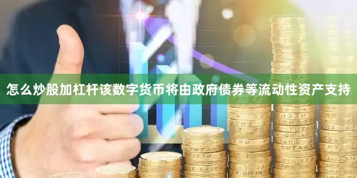 怎么炒股加杠杆该数字货币将由政府债券等流动性资产支持