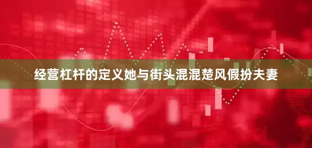 经营杠杆的定义她与街头混混楚风假扮夫妻