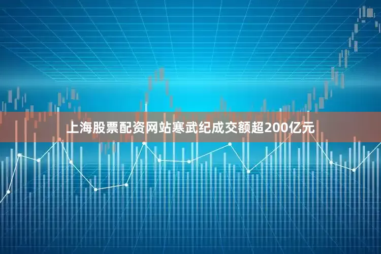 上海股票配资网站寒武纪成交额超200亿元